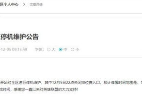 12月6日全游戏停服,全面维护与更新揭秘