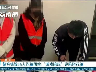 游戏陪玩犯法么,法律边界与行业规范探讨