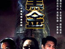 黑金 电视剧,权谋风云下的财富传奇