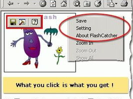 flash下载,探索数字娱乐的便捷之门