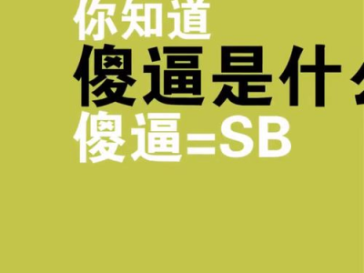 sb是什么意思?,揭秘sb背后的含义与网络用语解析