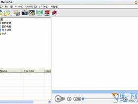 flash player,引领网页动画与互动体验的先驱回顾