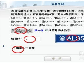汽车牌照网上选号,便捷高效，开启个性化出行新篇章
